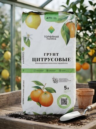 Цитрусовые