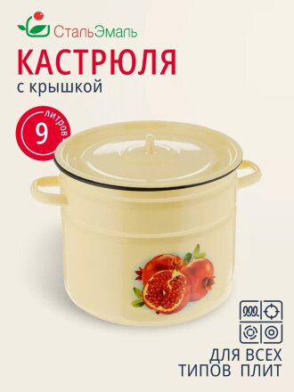 Кастрюля эмалированная сталь, 9 л, крышка сталь, СтальЭмаль, 1с200с, в ассортименте, индукция
