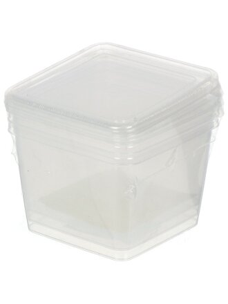 Контейнер пищевой пластик, 0.75 л, 3 шт, квадратный, Frozen, PT204012999