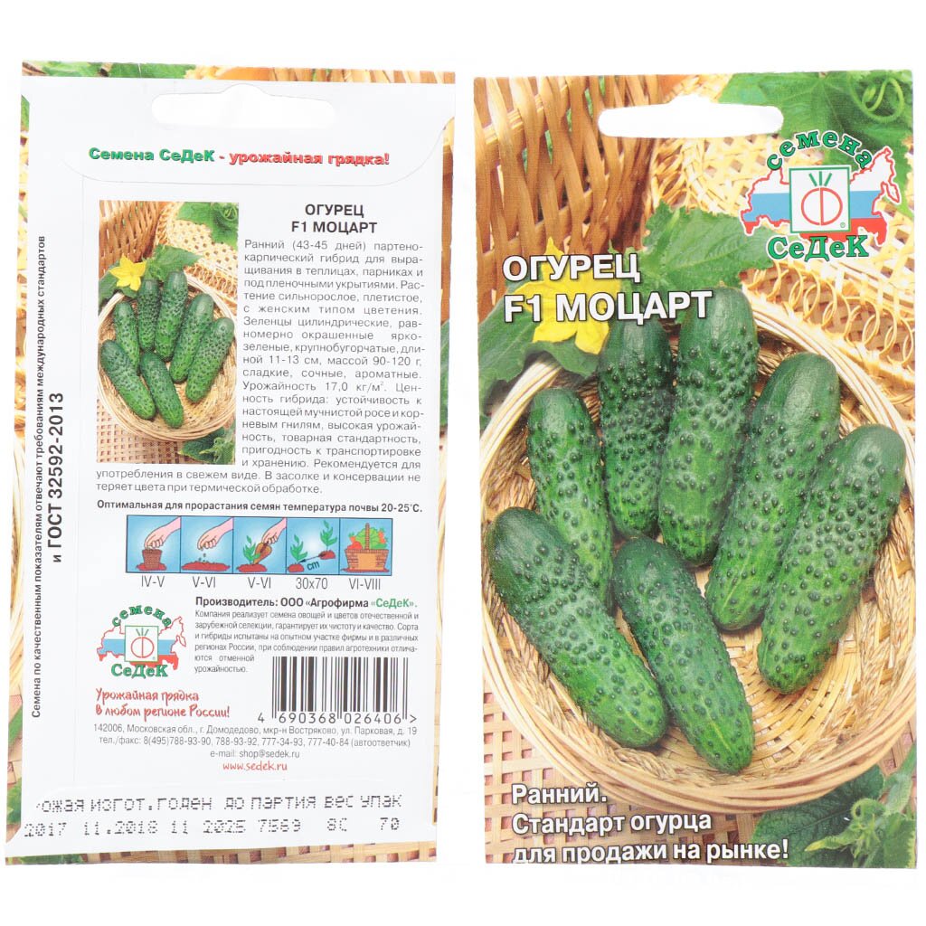 Семена Огурец, Моцарт F1, цветная упаковка, Седек