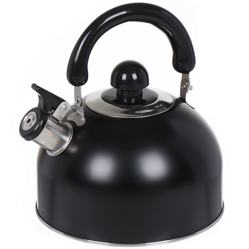 Чайник нержавеющая сталь, 2.5 л, со свистком, матовый, ручка металлическая, Daniks, черный, GS-04001