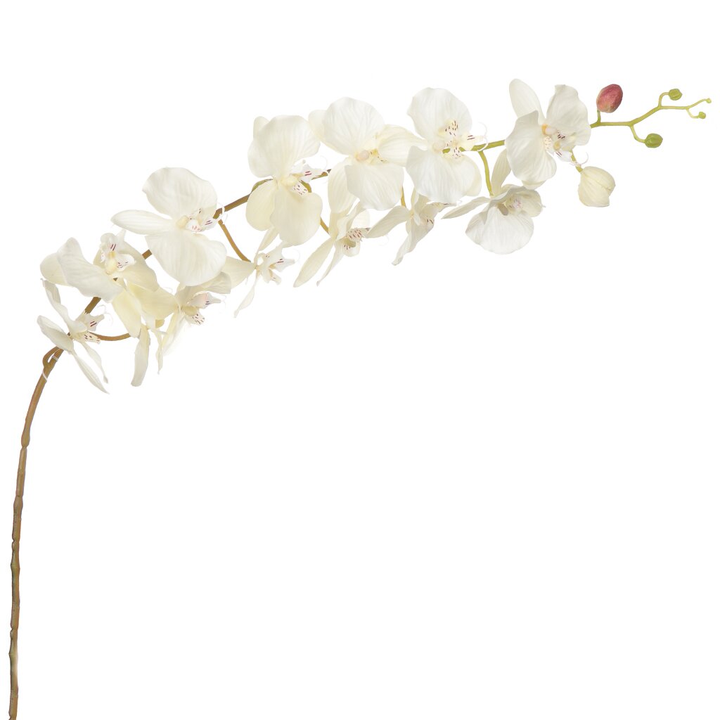 Цветок искусственный декоративный Орхидея Фаленопсис, 124 см, кремовый, 16-0072