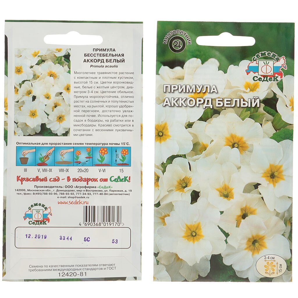 Семена Цв Примула Аккорд белый ЦВ