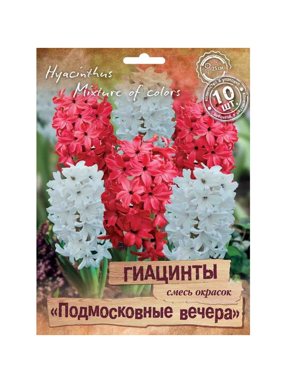 Луковицы Гиацинт, Подмосковные вечера, 14-15/ПрУп, 10 шт