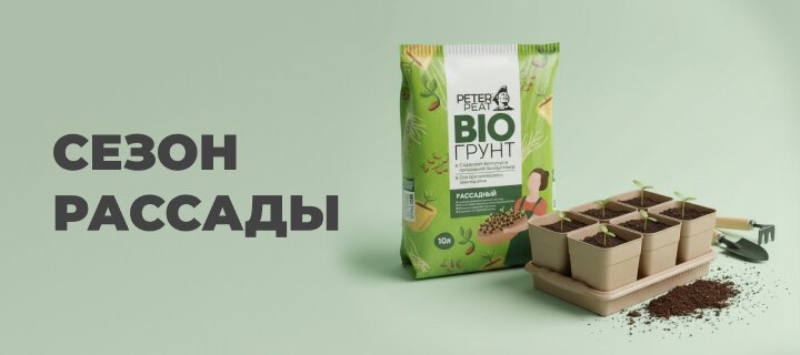 Сезон рассады со скидкой -15%
