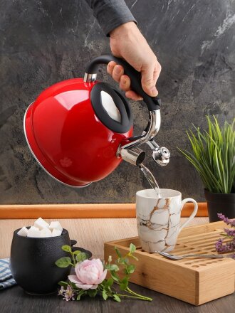 Чайник нержавеющая сталь, 3 л, со свистком, зеркальный, ручка с силиконовым покрытием, Daniks, Валетта, индукция, QS-K-3