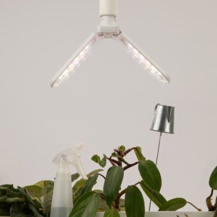 Лампа светодиодная для растений, E27, 20 Вт, 220-240 В, IP20, Эра, ФИТО-20W-PFR-E27-GR, Б0064520