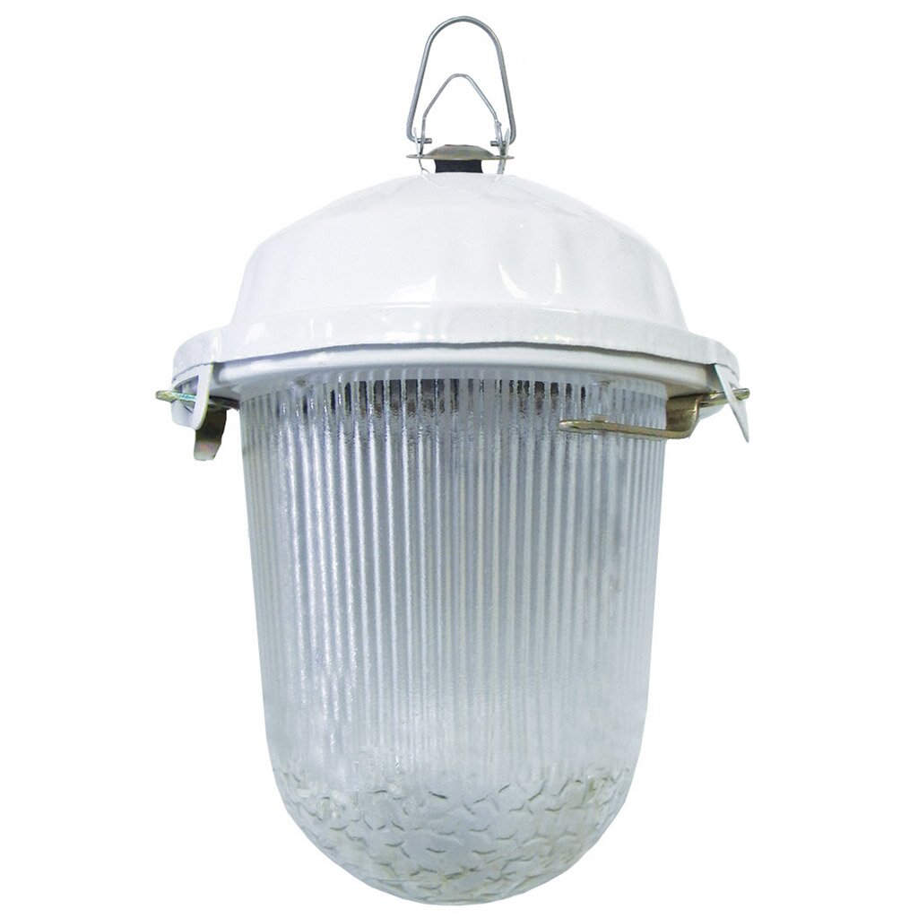 Светильник TDM Electric, 02-100-001.01 У2, настенный, 100 Вт, сталь, 17.2х24.6 см, НСП