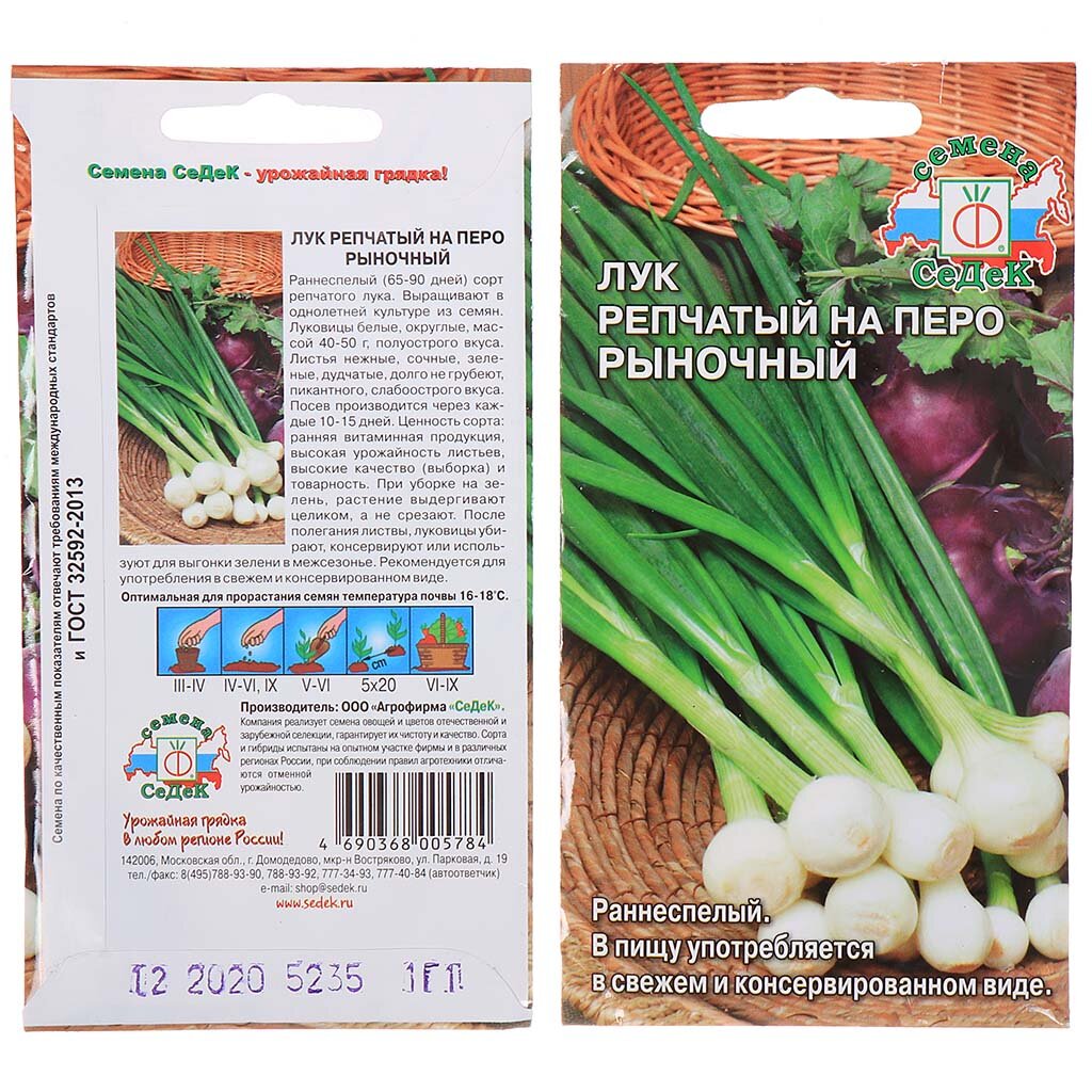 Семена Лук Рыночный (на перо) ЦВ*