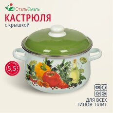 Кастрюля эмалированная сталь, 5.5 л, с крышкой, крышка сталь, СтальЭмаль, Европейская кухня белоснежная, 1с47я, индукция