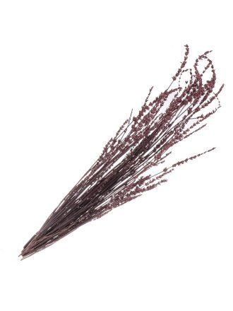 Цветок искусственный декоративный Сухоцветы, 60 см, фиолетовый, Y6-10346