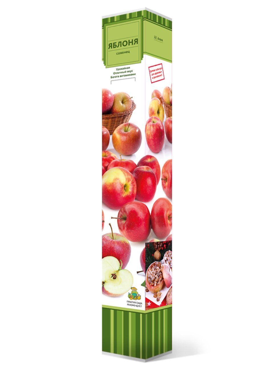 Саженцы Яблоня колонновидная, Зеленый Шум, в коробке, подвой семенные, 846945