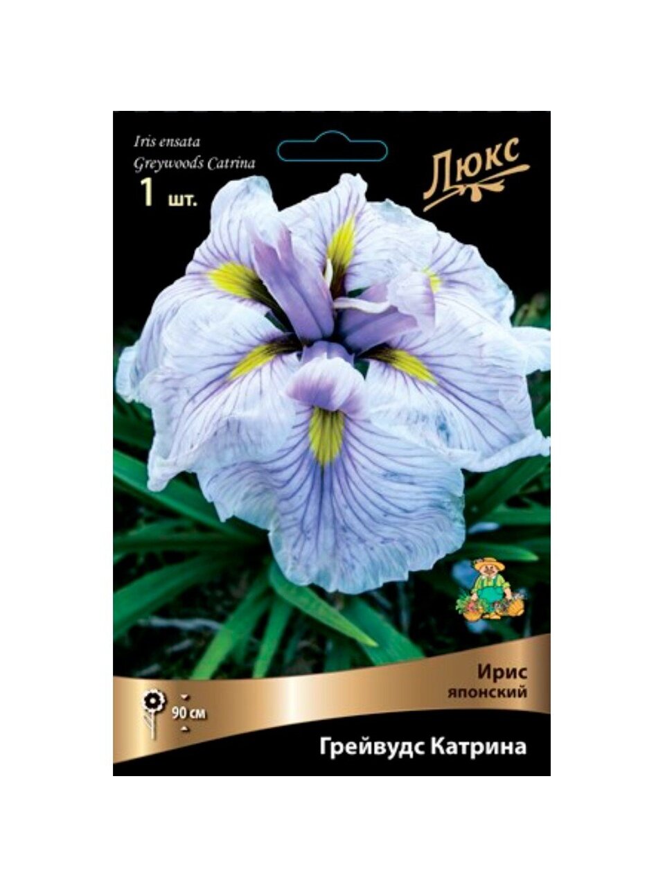 Луковицы Ирис японский, Грейвудс Катрина