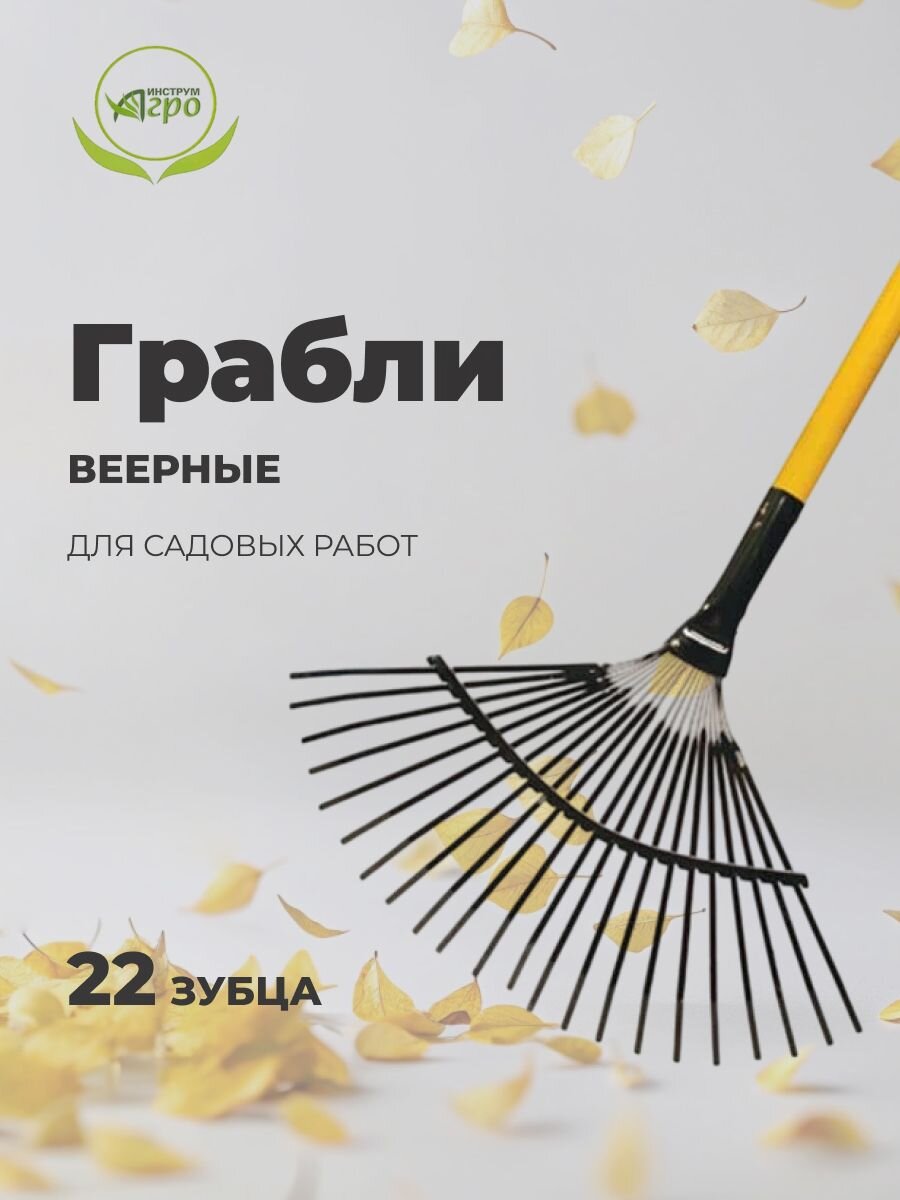 Грабли веерные, 22 зуб, металл, Инструм-Агро, ГВЛ (УЛ), пластинчатые, черенок металлический, 030217