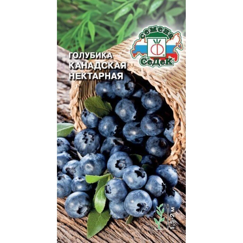Семена Голубика, Нектарная, цветная упаковка, Седек