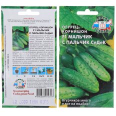 Мальчик-с-пальчик F1