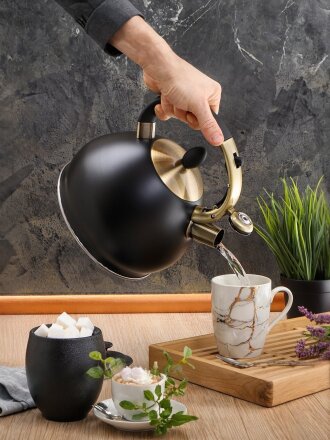 Чайник нержавеющая сталь, 3 л, со свистком, матовый, ручка металлическая, Daniks, индукция, M-079