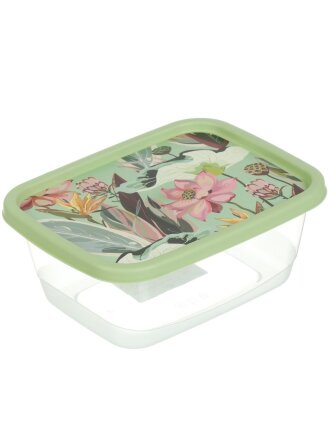 Контейнер пищевой пластик, 0.85 л, 16.6х12.8х7 см, зеленый, прямоугольный, Homver, Botanica, 222132118/08