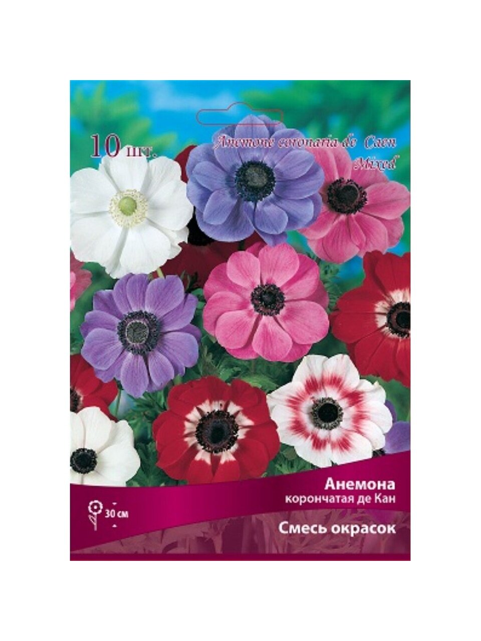 Корневище Анемона, Де Каен, 7-8/К, 10 шт