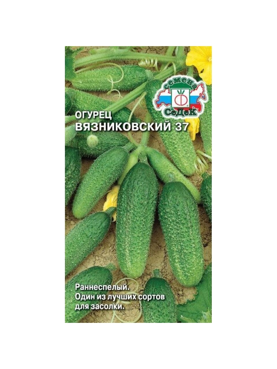 Семена Огурец, Вязниковский 37, 0.5 г, цветная упаковка, Седек