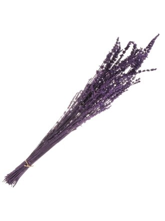 Цветок искусственный декоративный Сухоцветы, 60 см, фиолетовый, Y6-10347
