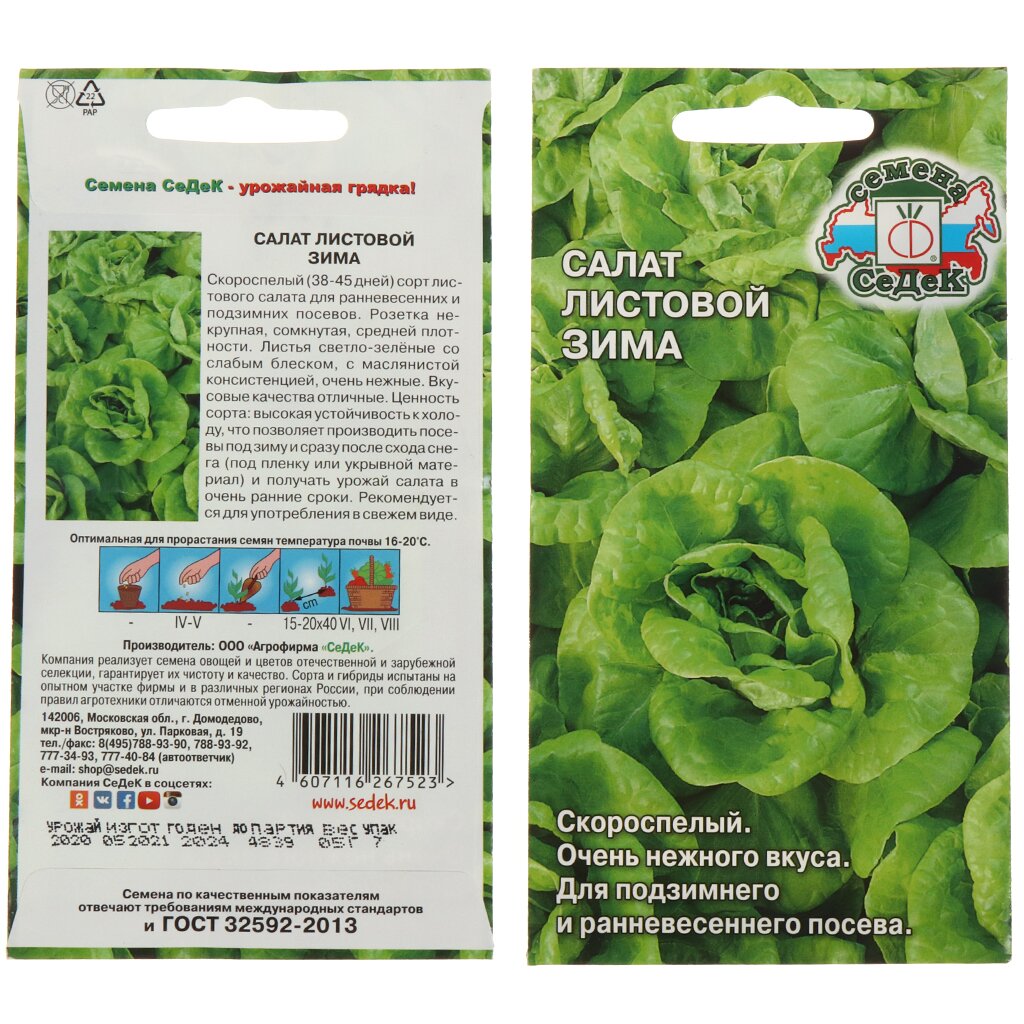 Семена Салат листовой, Зима Евро, 0.5 г, 10433, цветная упаковка, Седек
