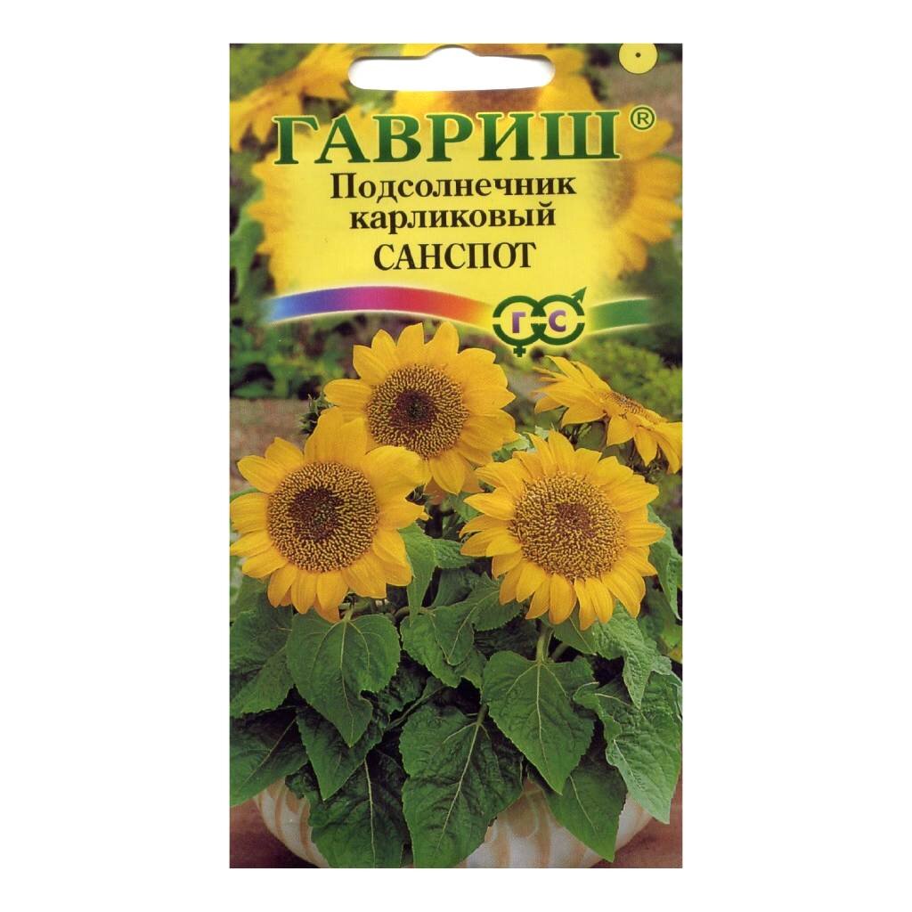 Семена Цветы, Подсолнечник, Санспот, 0.5 г, цветная упаковка, Гавриш