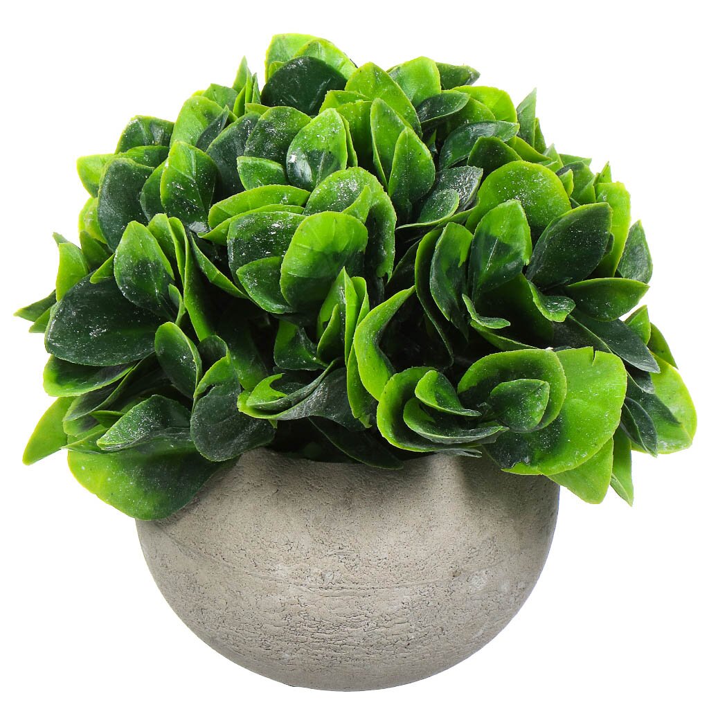 Цветок искусственный декоративный Суккулент, в кашпо, 13Х9 см, зеленый, Y4-7161