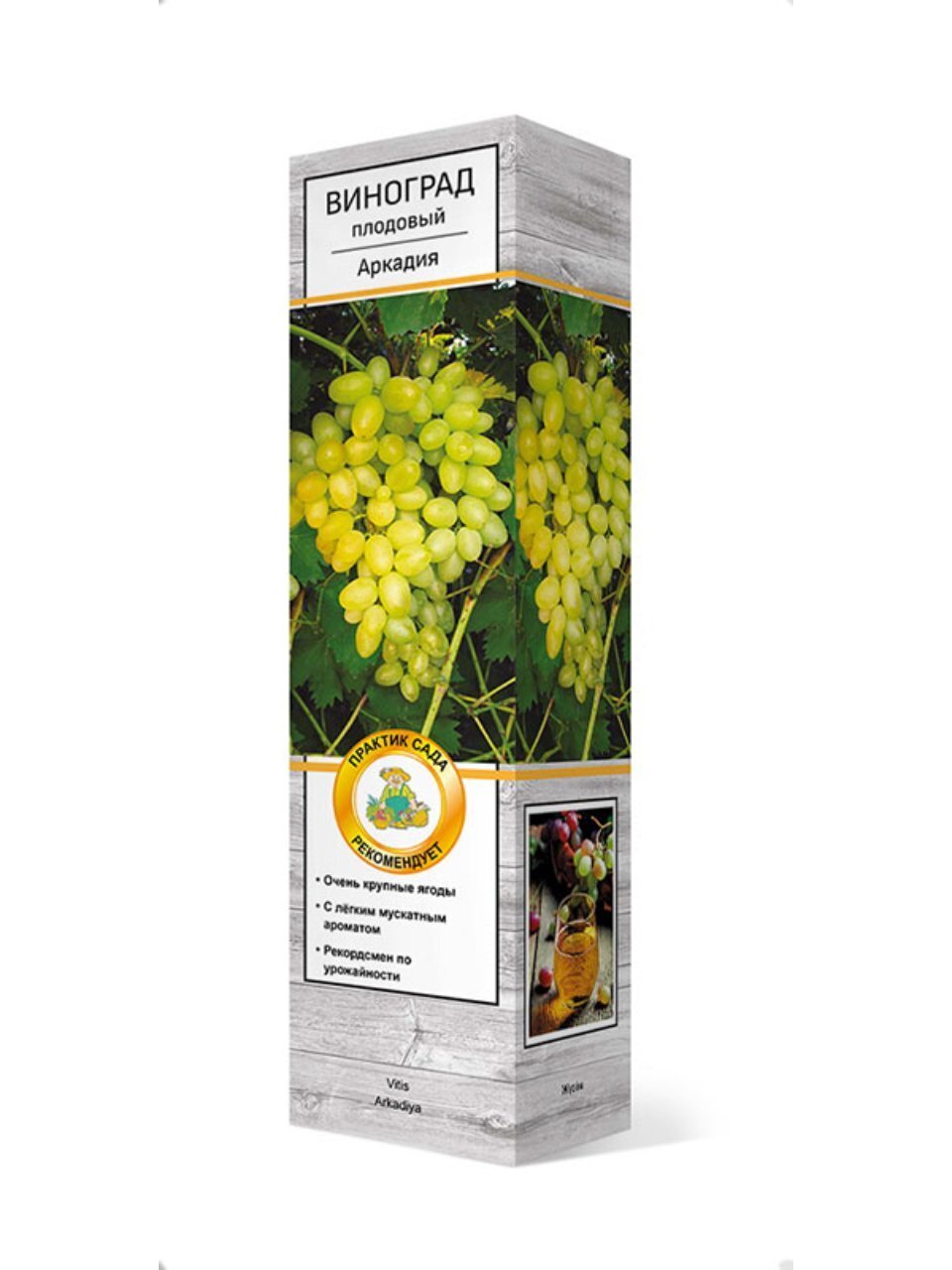 Саженцы Виноград плодовый, Аркадия