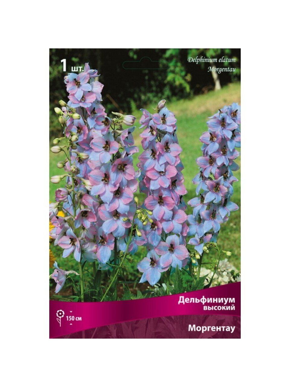 Корневище Дельфиниум высокое, Моргентау