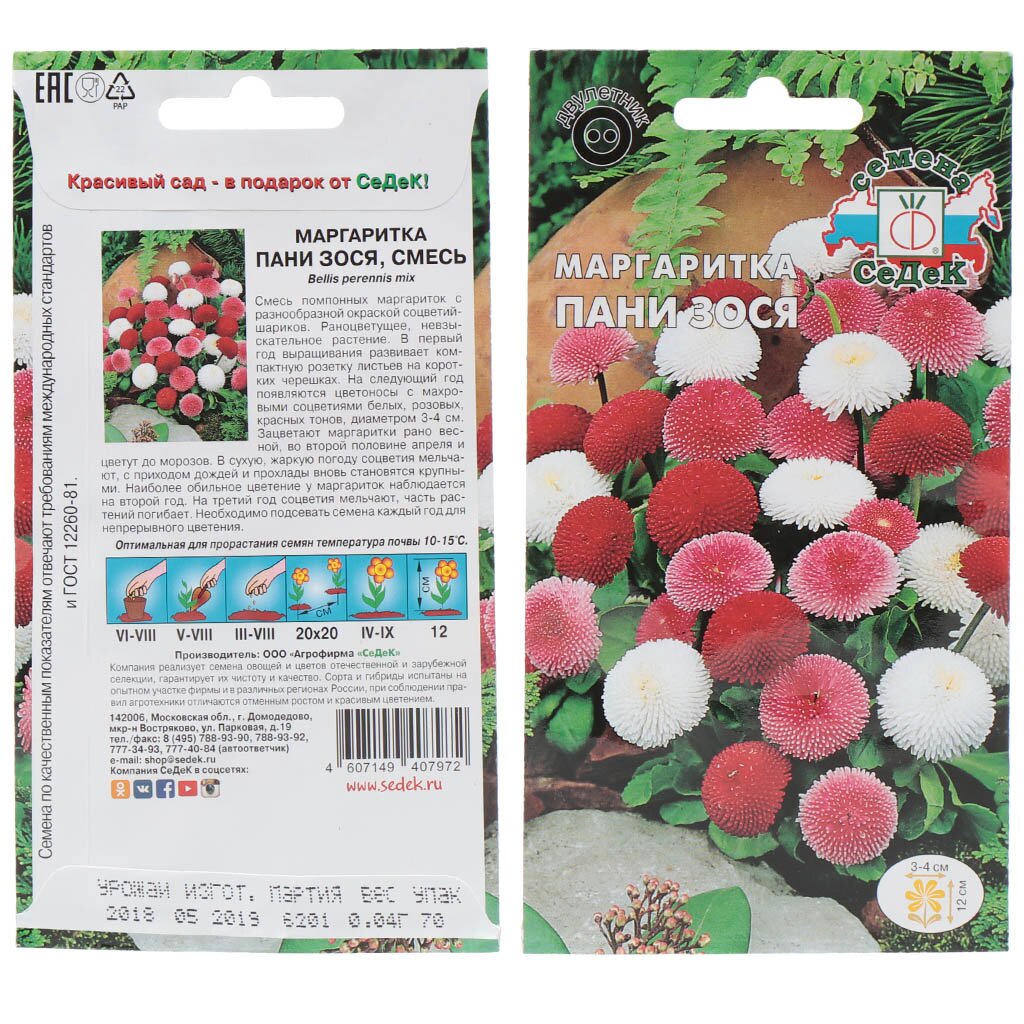 Семена Цветы, Маргаритка, Пани Зося, 0.04 г, цветная упаковка, Седек