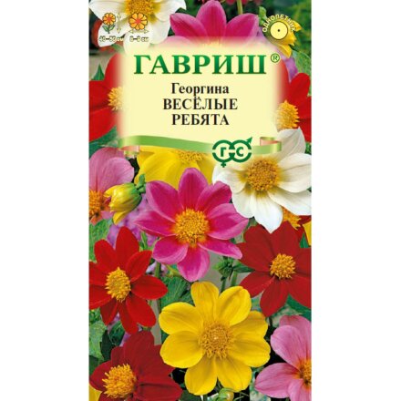 Веселые ребята