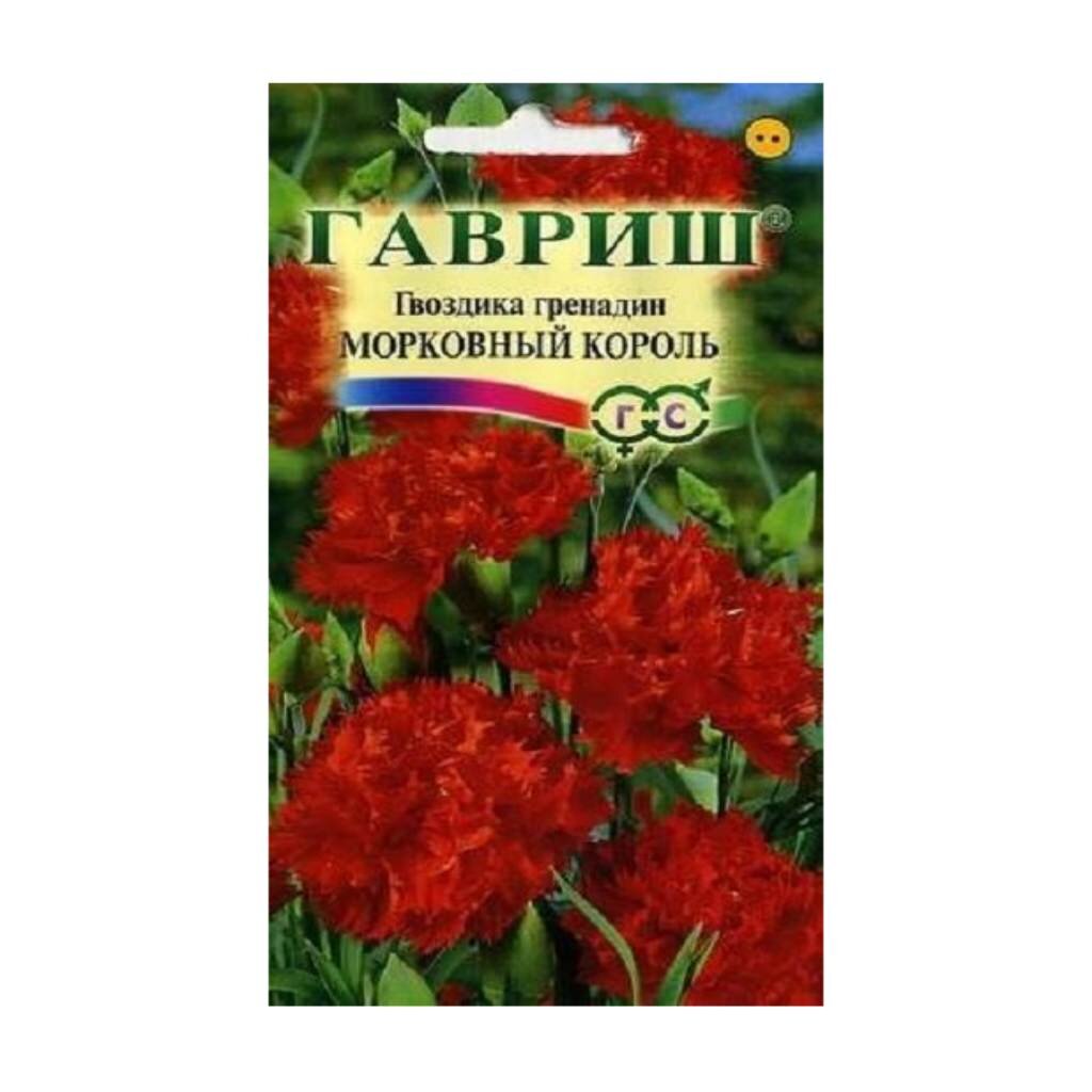 Семена Цветы, Гвоздика, Морковный король садовая гренадин, 0.1 г ...