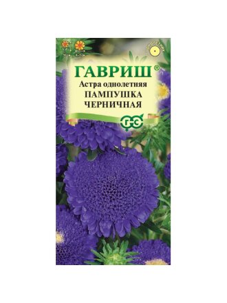 Пампушка черничная