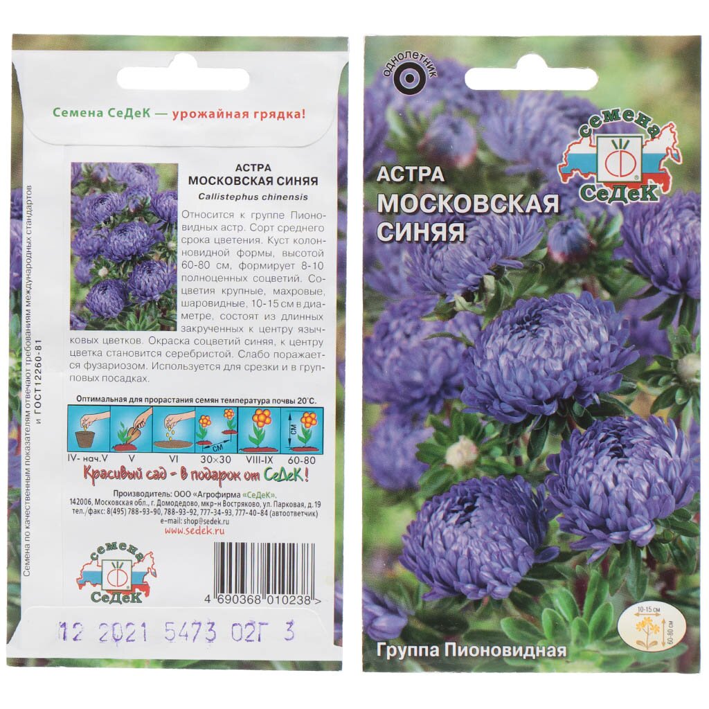 Семена Астра Московская синяя пионовидная, 0.2 г, в цветной упаковке Седек