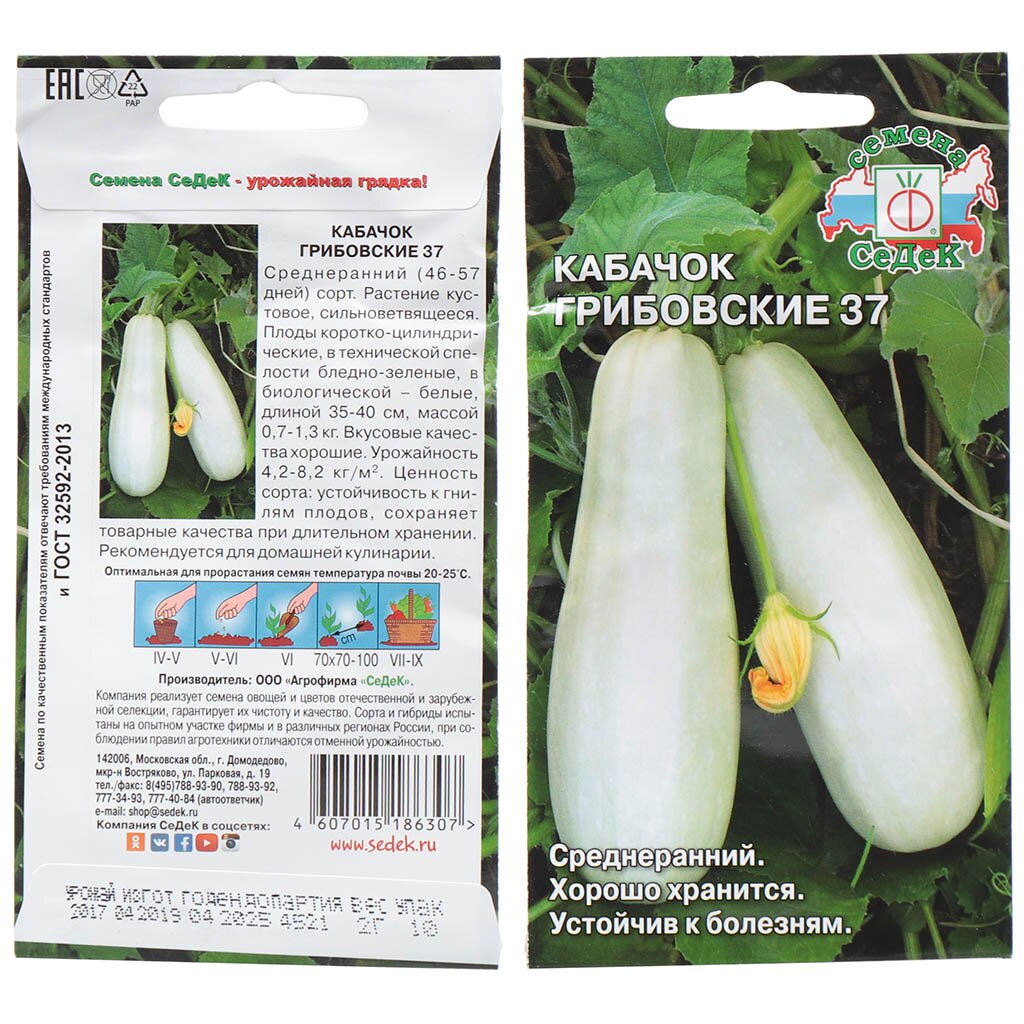 Семена Кабачок, Грибовские 37, цветная упаковка, Седек кабачок грибовские 37 0 3 гр