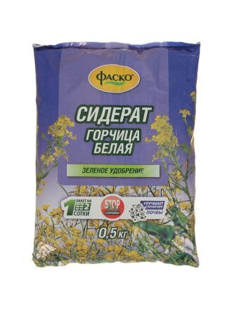 Горчица