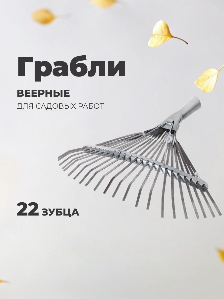 Грабли веерные, 22 зуб, металл, пластинчатые, оцинкованые, ГВ-Л