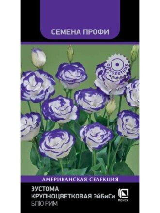 ЭйБиСи Блю Рим