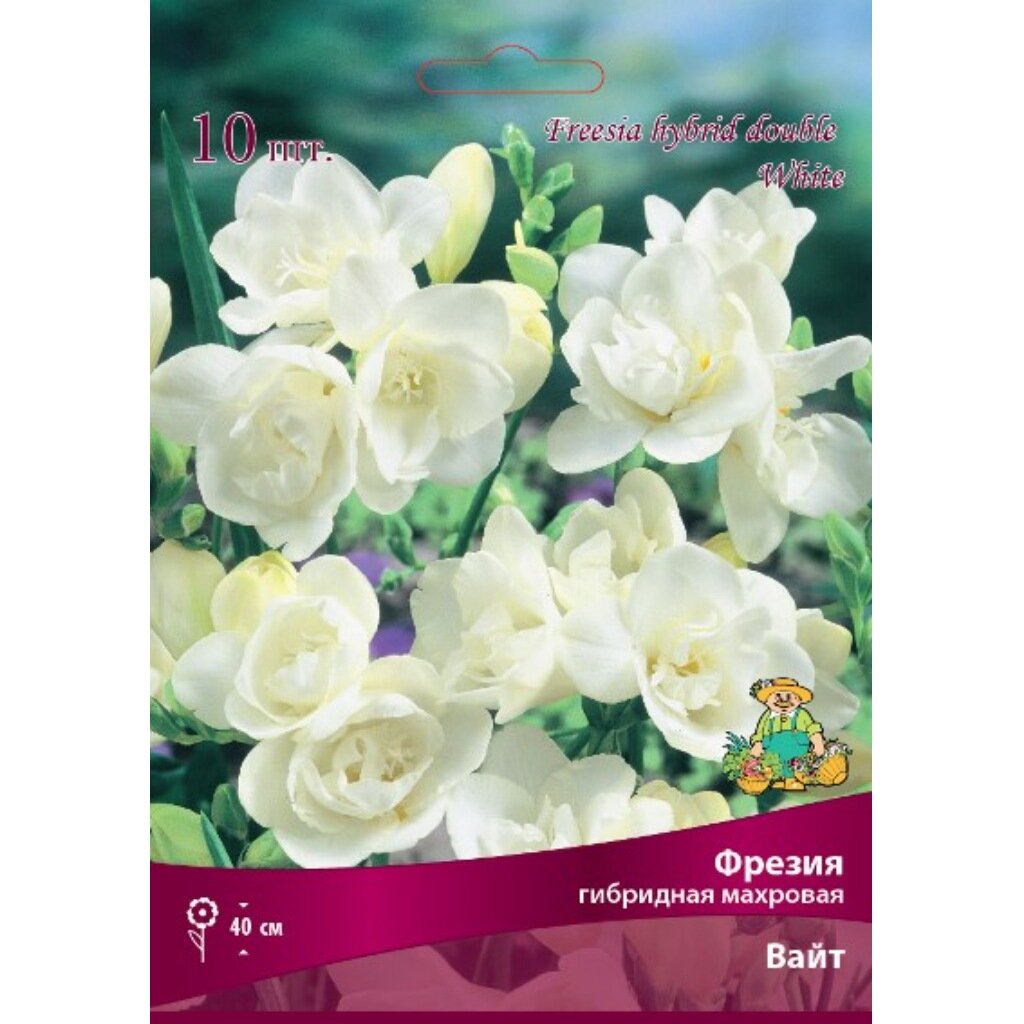 Луковицы Фрезия гибридная махровая, Вайт, 10 шт