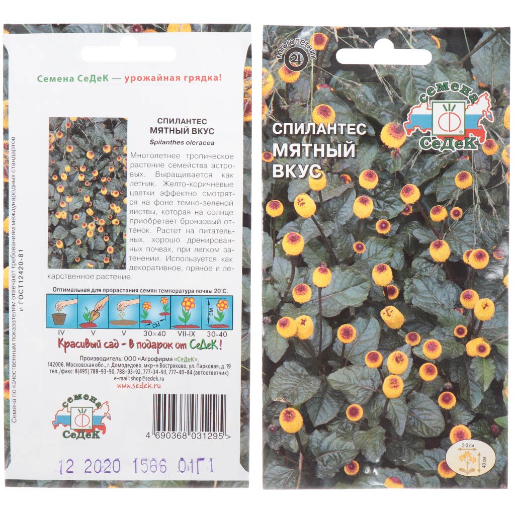 Семена Цветы, Спилантес, Мятный вкус, 0.1 г, цветная упаковка, Седек