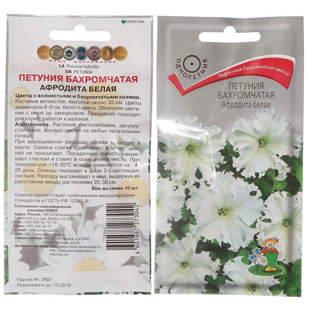 Семена Цв Петуния Афродита (бахромчатая белая) ЦВ в Москве: цены, фото ...