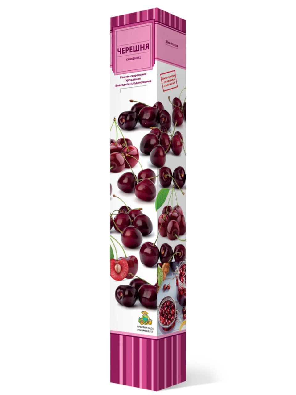 Саженцы Черешня, Бряночка, 762984