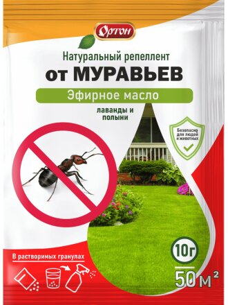 муравьи