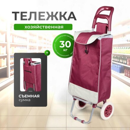 Тележка хозяйственная 33х28х96 см, полиэстер, пластик, металл, 30 кг, с сумкой, складная, Y6-1841