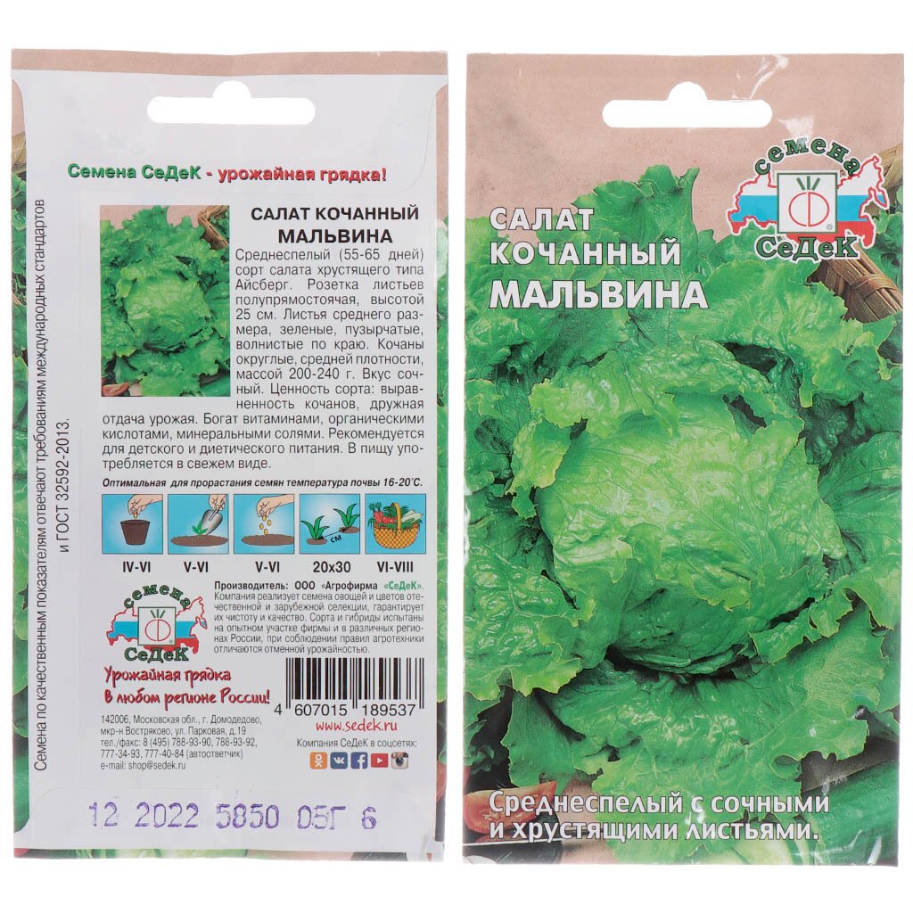 Семена Салат кочанный, Мальвина, цветная упаковка, Седек семена салат колобок кочанный тип айсберг 0 5 г