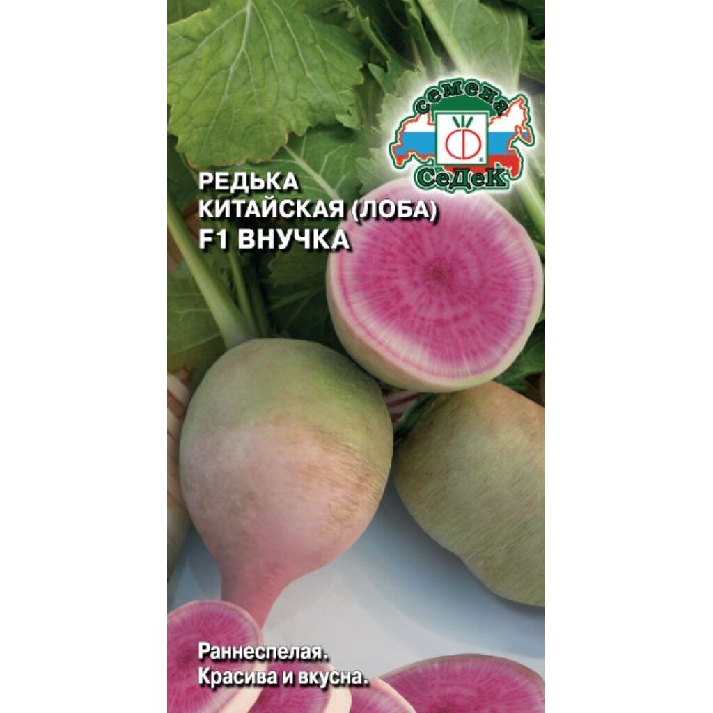 Семена Редька, Внучка, цветная упаковка, Седек