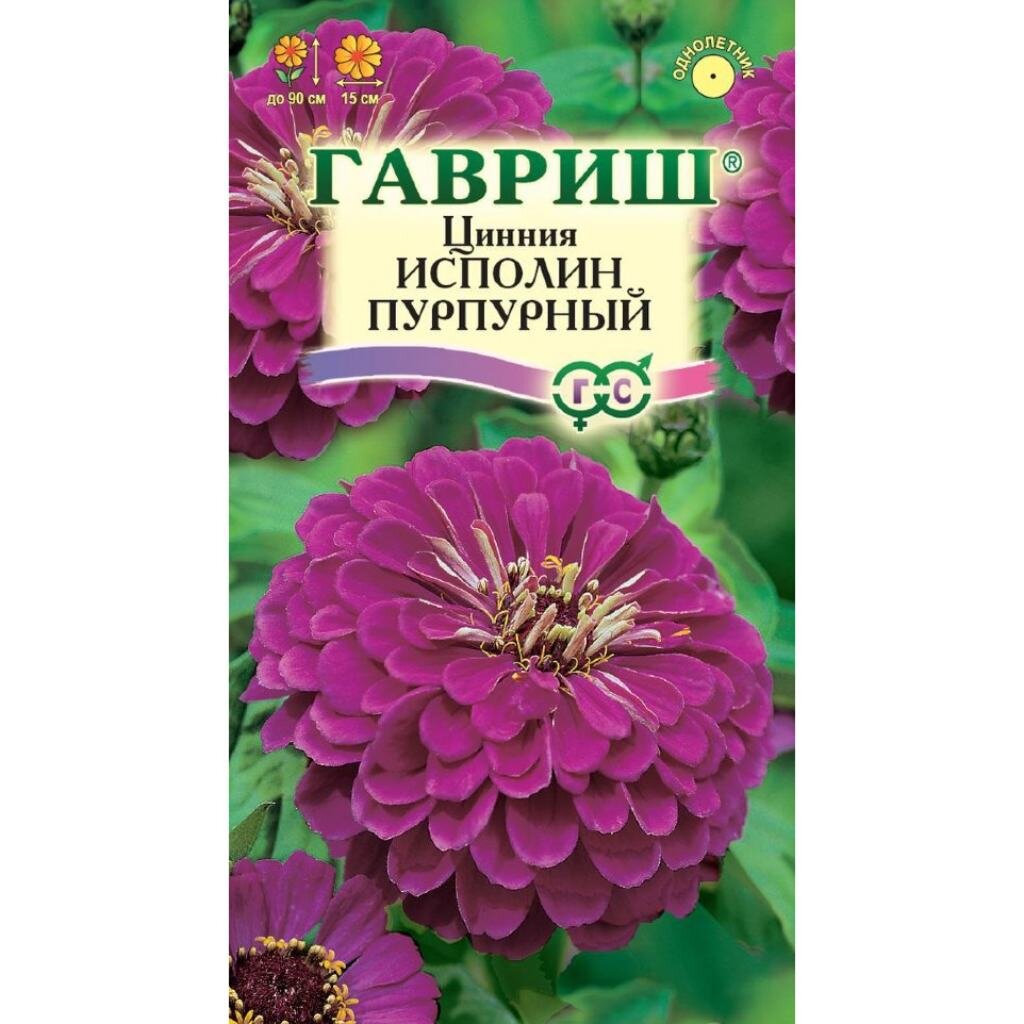 Семена Цветы, Цинния, Исполин пурпурный, 0.3 г, цветная упаковка, Гавриш цинния изящная пурпурный принц