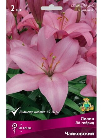 Луковицы Лилия ЛА-Гибрид, Чайковский, 14-16, 2 шт