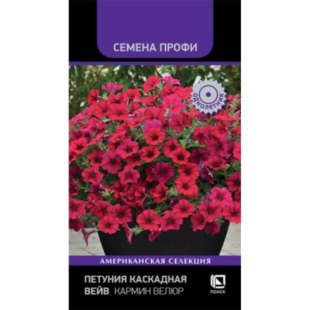 Семена Цветы, Петуния, Вейв Кармин Велюр, Семена Профи, каскадная, цветная упаковка, Поиск